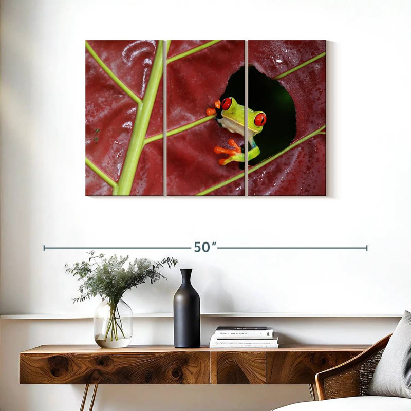 Brampt Wild Red Eyed Tree Frog, 32" H x 50" W