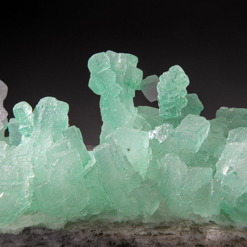 Vert Halite