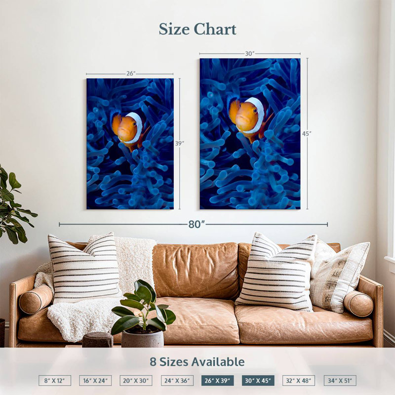 Brampt Blue Anemone Clownfish, 39" H x 26" W