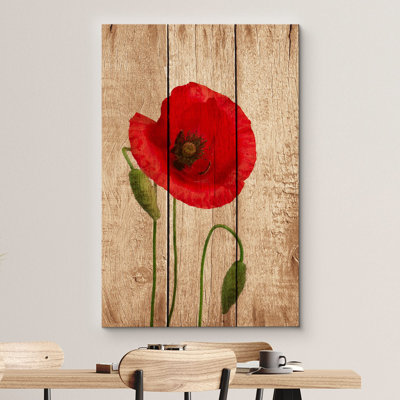 Gros plan sur une fleur de coquelicot rouge sur des panneaux de bois
