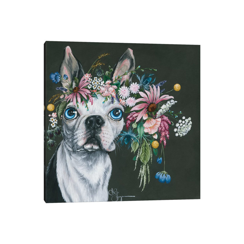 Boston Terrier - Wrapped Canvas Print, 30.48 cm H x 30.48 cm W