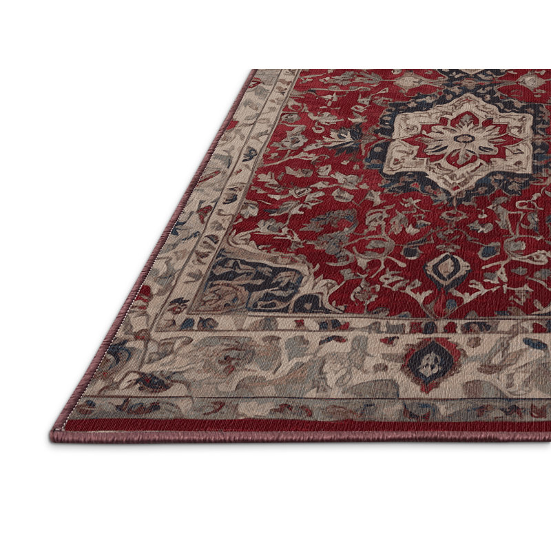 Machine Washable Red Area Rug, Rectangle 4' x 6'