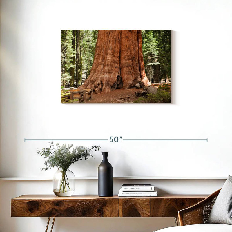 Harnek Ancient Sequoia Tree, 20" H x 30" W
