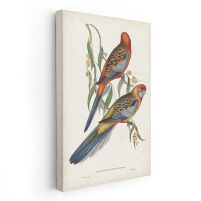 Tropical Parrots II - reproduction d'art sur toile