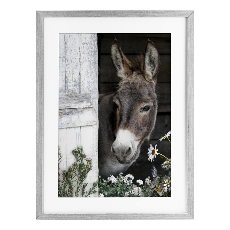 «Gentle Donkey Peering» par Barn Design, impression par CAD Designs, H 20 po x l 14 po
