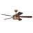 Braxton 52'' Ceiling Fan with LED Lights-847043900