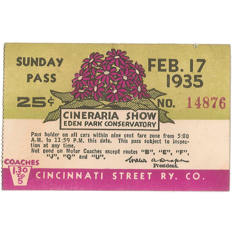 Cineraria Show Poster - Wrapped Canvas Print, 81cm H x 122cm W x 3.8cm D
