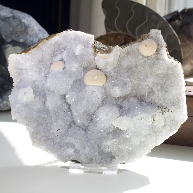 Cristal Casheena
