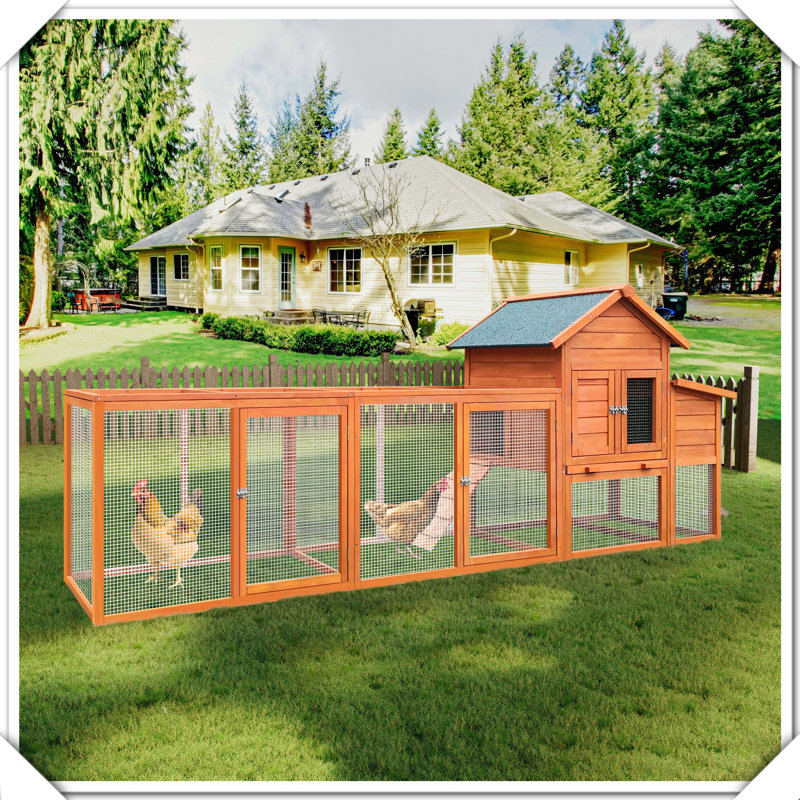 Grande cage à poules en bois