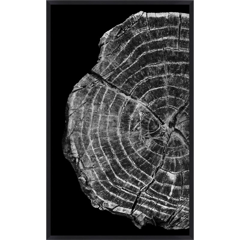 Silver Tree Ring Diptych A Print