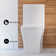 Concorde One-Piece Square Toilet, 14" Rough-In 1.1/1.6 Gpf