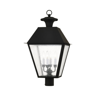Arnetria Lantern Head