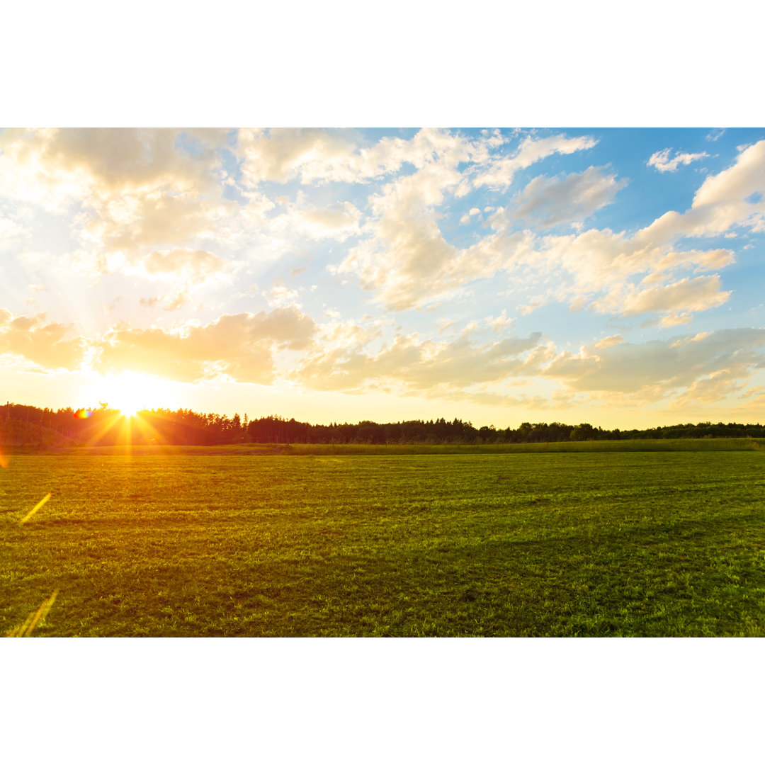 Sonnenuntergang über der Wiese von Brzozowska - Druck