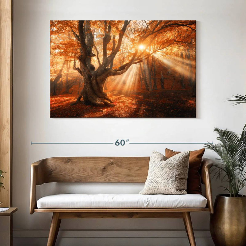 Lumière du soleil d'automne Alvord