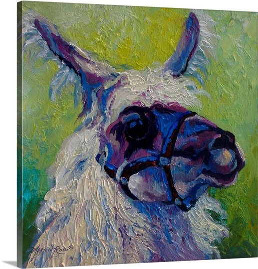 «Drissia Lillocet Llama», reproduction d'art, H 30 po x l 30 po x P 1,5 po, Toile