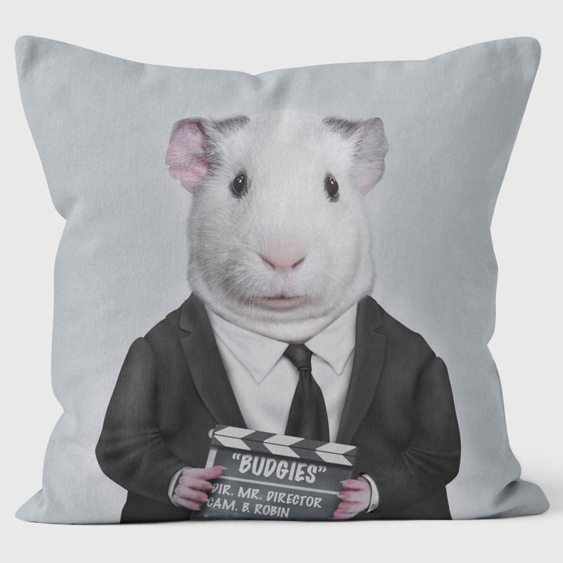 Director - Pets Rock Cushion
