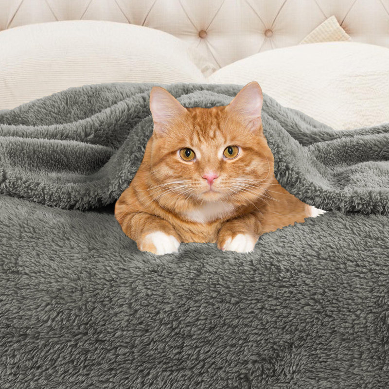 Superior Solid Polyester Reversible All-Season Fleece Throws Blanket, Silver, Full