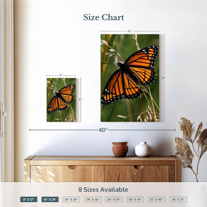 Brampt Monarch Butterfly Up Close, 12" H x 8" W