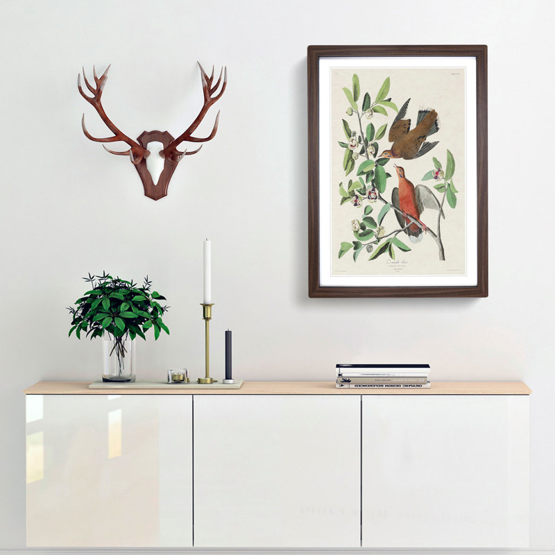 Lenaida Doves by John James Audubon - Picture Frame Painting Print, Walnut Framed, 36cm H x 27cm W x 2cm D