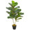 Faux Fiddle Plant in Pot
