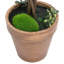 Faux Boxwood Plant in Ceramic Pot-1046020939