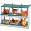 Boîte de nidification à 6 compartiments pour poules pondeuses, boîtes de poules roulantes, vert