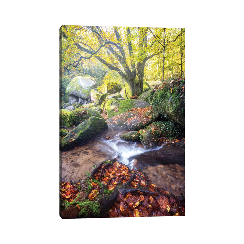 Huelgoat Magic Forest par Philippe Manguin - Estampe numérique sur toile tendue avec châssis, H 40 po x l 26 po x P 1,5 po