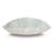 Danae Throw Pillow