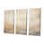 Toile tendue