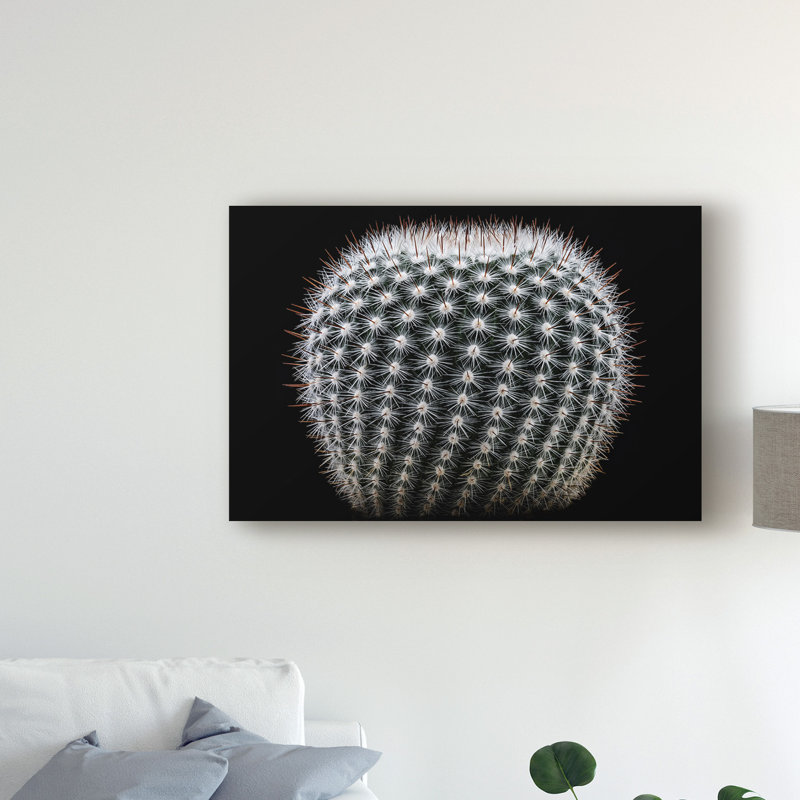 Modern & Contemporary, 16" H x 24" W x 2" D