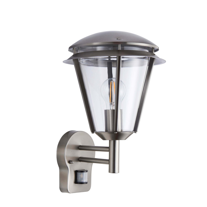 Nellie 38cm H Outdoor Wall Lantern, Brushed Stainless Steel