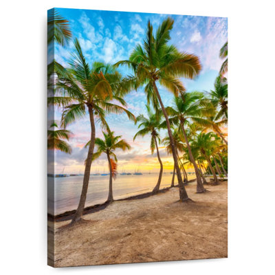 Gillard Anse Champagne Cove Palms