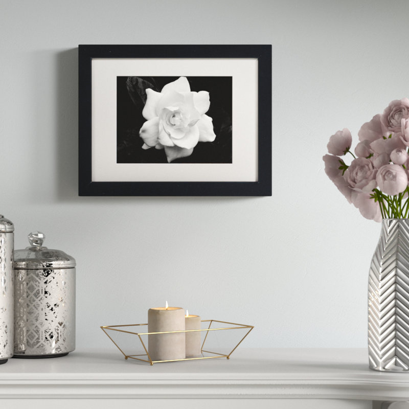 « gardenia », reproduction de photo sur toile, H 11 po x l 14 po x P 0,5 po, Cadre argenté, Noir