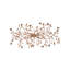 Bay 14 - Light Chandelier