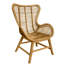 Padmini Upholstered Accent Chair