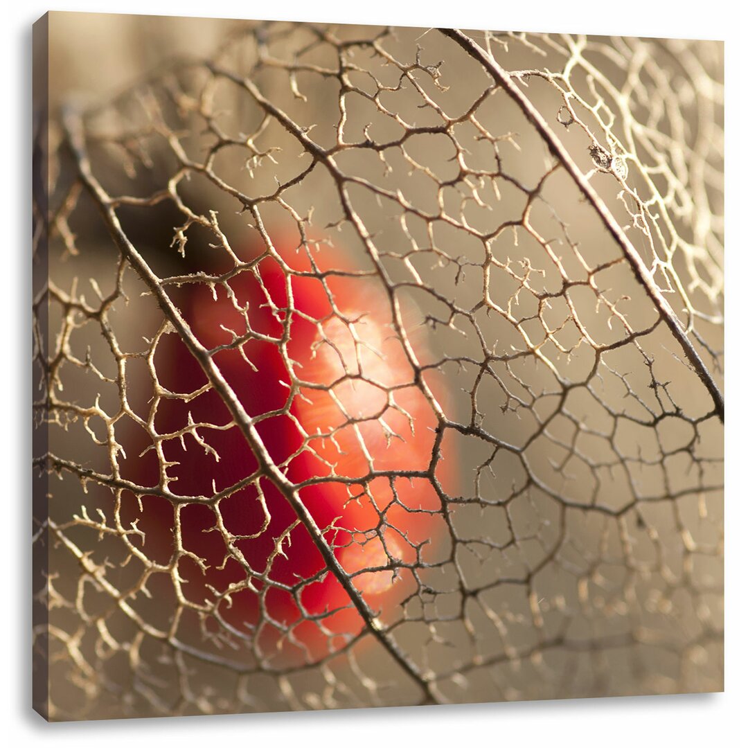 Leinwandbild Rote Physalis