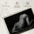 Bodyscape VI-108115622