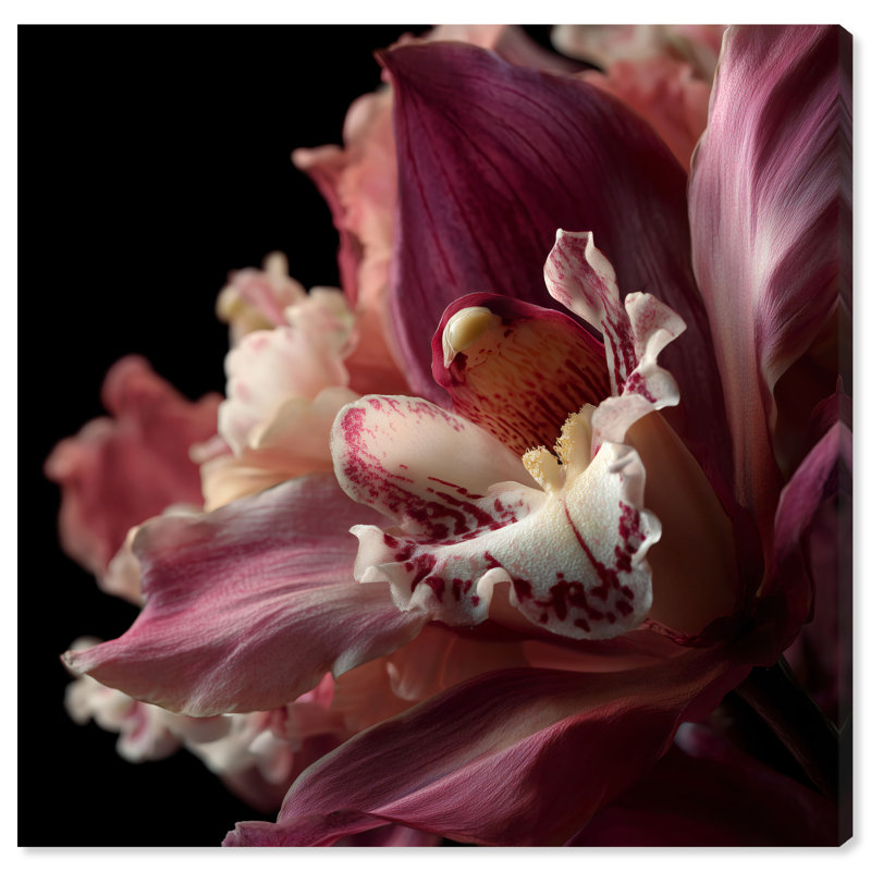 Velvet Labellum Print by Oliver Gal, 40"H x 40"W, Gallery Wrapped