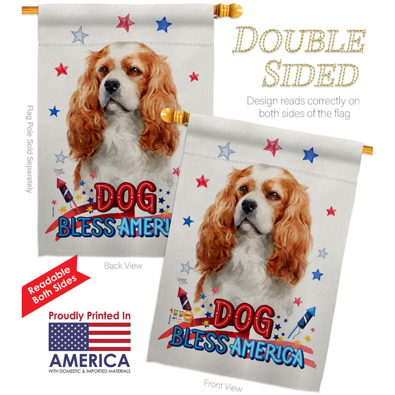 Drapeau de maison patriotique en polyester 3 faces 2 x 2 pi