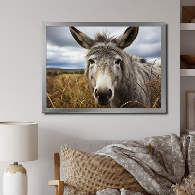 " Gray Donkey Gentle Companion "