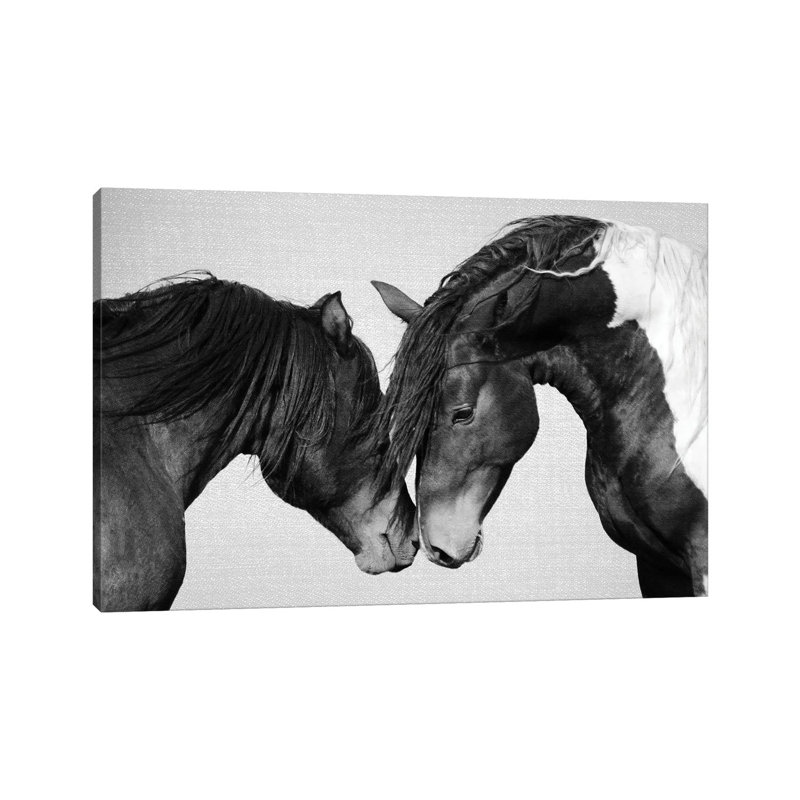 Chevaux en noir et blanc II - reproduction de photo sur toile tendue, H 12 po x l 18 po x 1,5 po