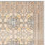 Tapis oriental Chantae Performance-19259970