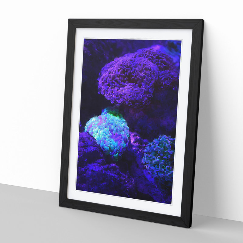 Luminescent Coral - Picture Frame Graphic Art, 36cm H x 27cm W x 2cm D, Black Framed