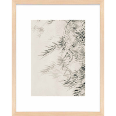 Suspended Motion Print by Laura Zimmerman