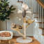 Alodie 111cm H Cat Tree