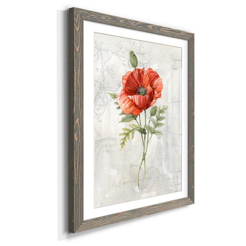 Lin coquelicot - Cadre photo, impression sur papier, gris, H 37,5 po x l 27,5 po x P 1,5 po