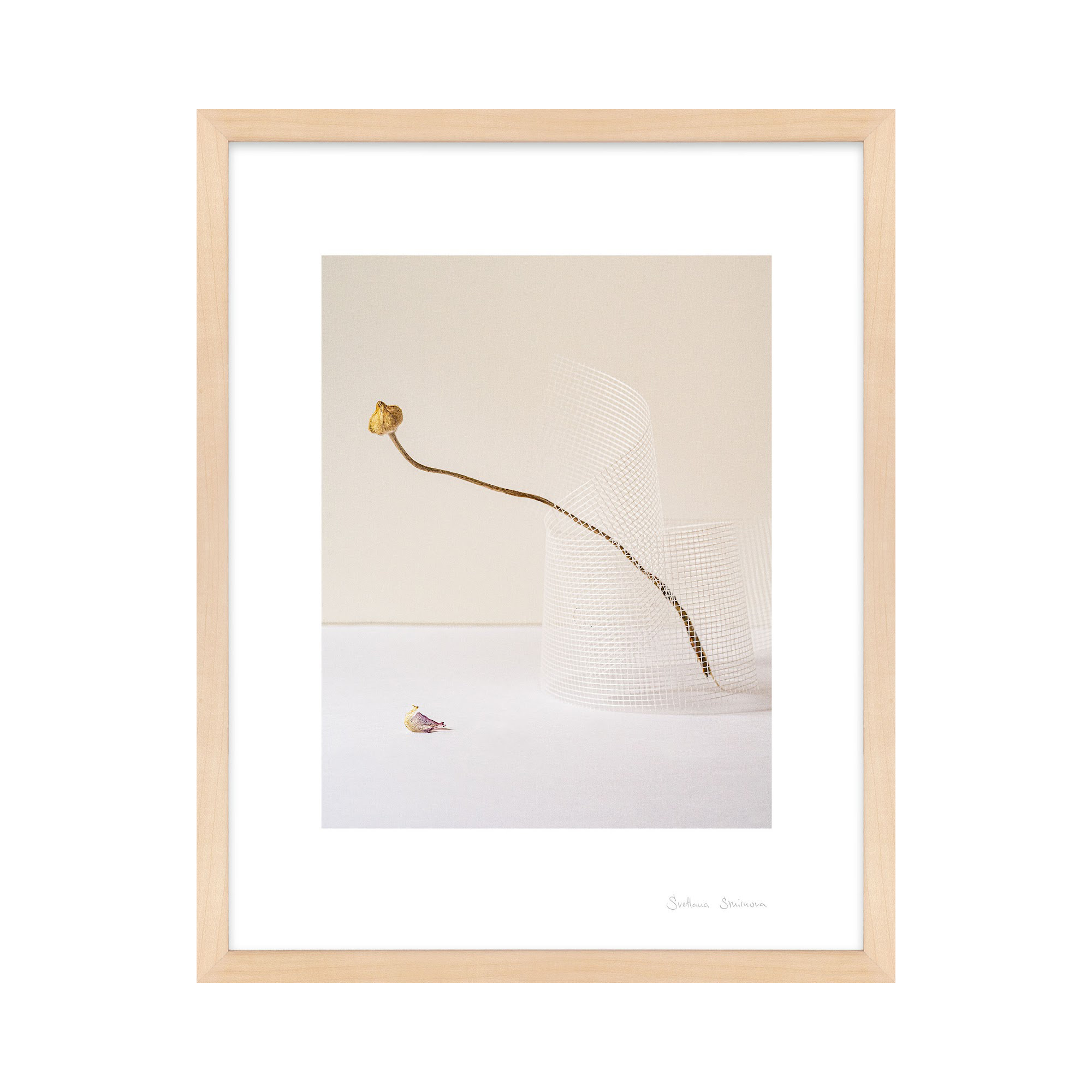 Lombard Balance 2 by Svetlana Smirnova - Picture Frame Photograph, Maple, 20" H x 16" W x 1.25" D