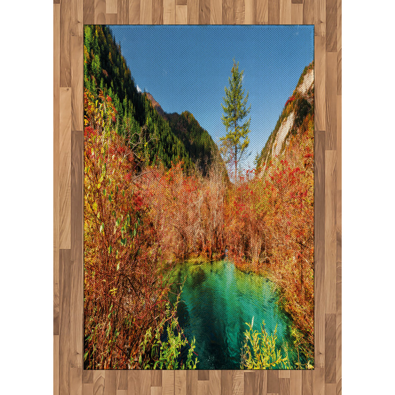 Nature High Density Long Fiber Poly Threads Decorative Area Rug Carpet, Rectangle 4' x 5'8"