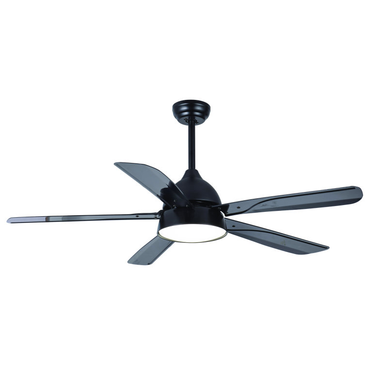 Macedonia Ceiling Fan with LED Lights