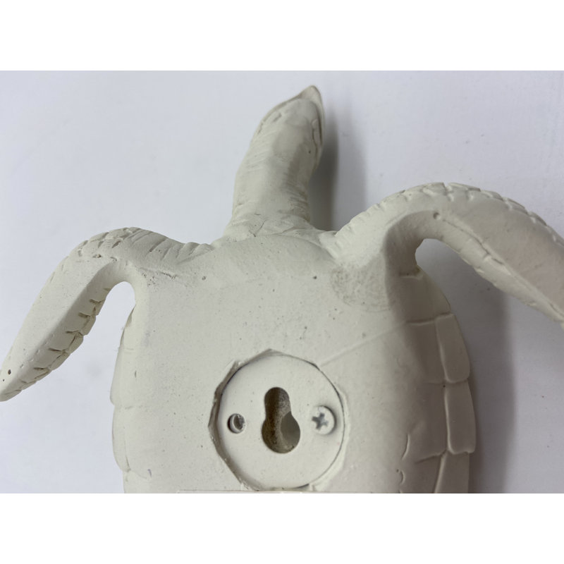 Tortue Penn, H 0,5 po x l 5,5 po x P 4 po